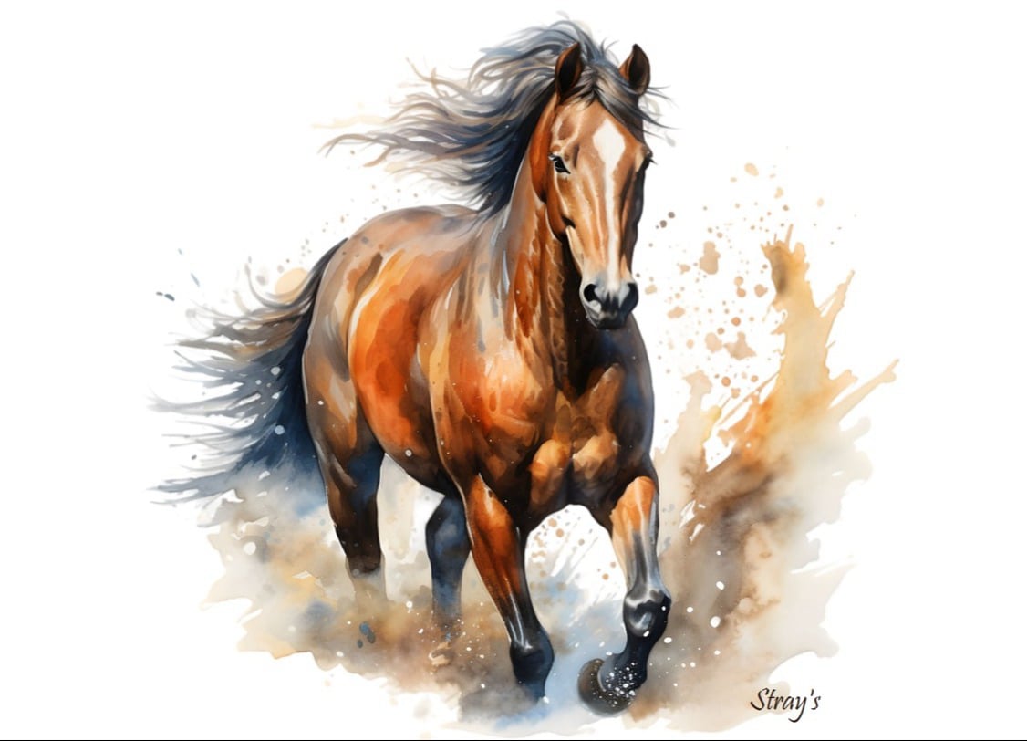 Strays Creations Sea Shells