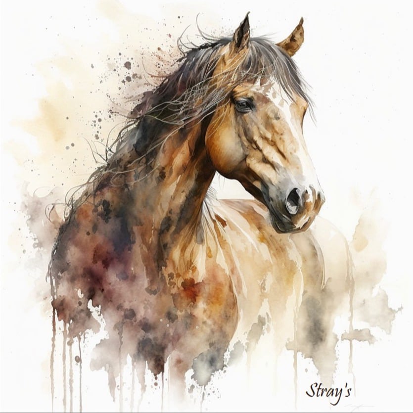 Strays Creations Sea Shells