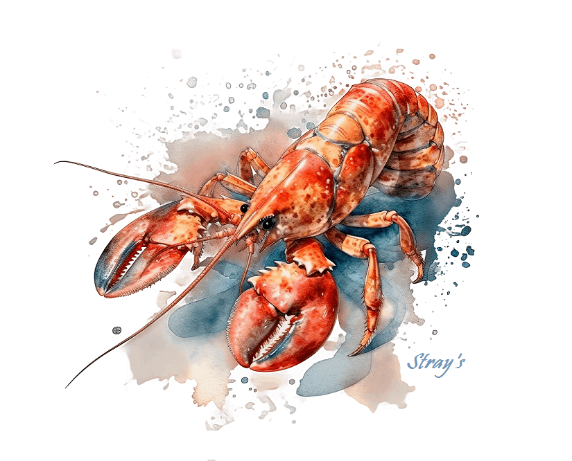 Strays Creations Lobster 1