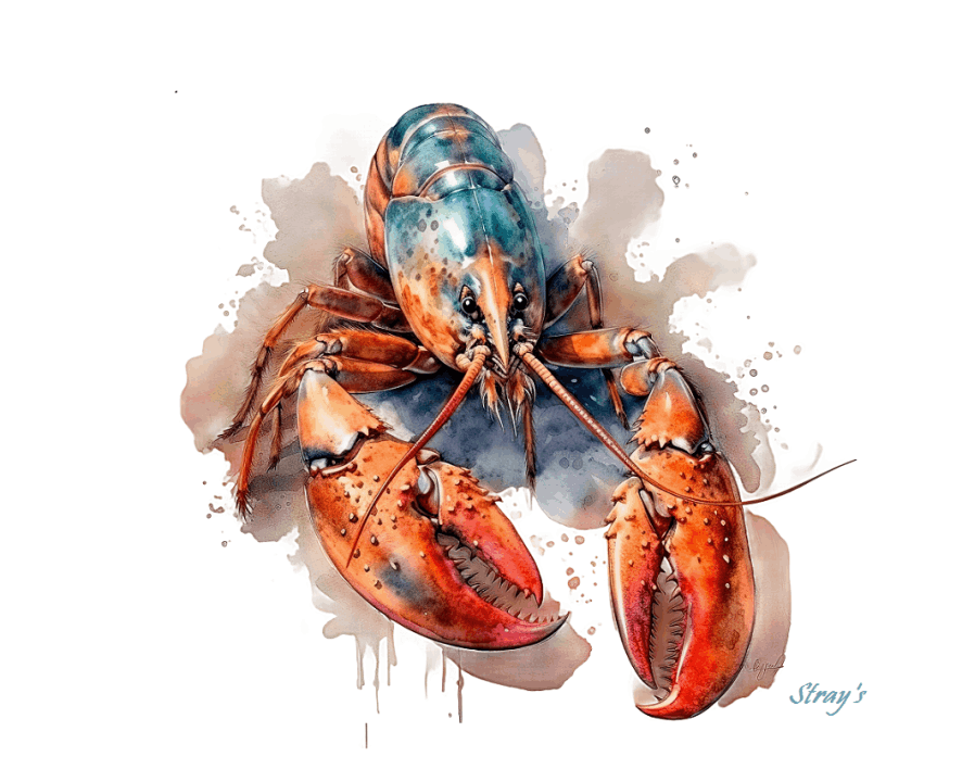 Strays Creations Lobster 2